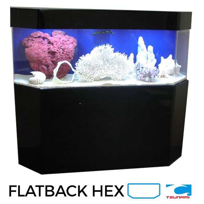 Flatback Hex Featured Image 